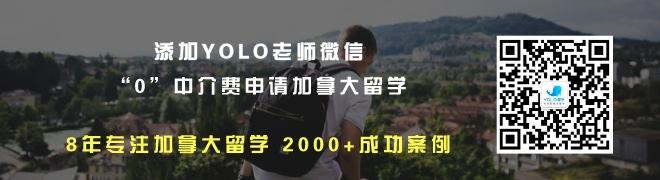 yolo后台尾部.jpg