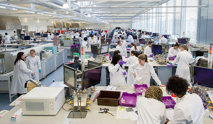 Human Sciences - London Metropolitan University